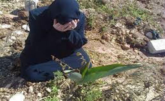 أم ذهبت الى قبر ابنها لتدعوا له فسمعت صوت ابنها الراحل من داخل القبر يناديها..؟ .. لن تتخيل ماذا سمعت ..؟ أم ذهبت الى قبر ابنها لتدعوا له فسمعت صوت ابنها الراحل من داخل القبر يناديها..؟ .. لن تتخيل ماذا سمعت ..؟