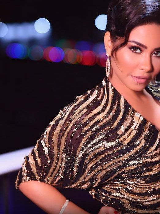 هل كانت شيرين عبدالوهاب في «حالة سُكْر»؟.. مستشار «المهن الموسيقية» يجيب هل كانت شيرين عبدالوهاب في «حالة سُكْر»؟.. مستشار «المهن الموسيقية» يجيب