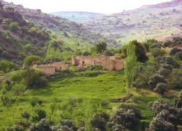 امين عام سلطة وادي الاردن يبحث المخطط الشمولي لتنمية وتطوير منطقة وادي عربة امين عام سلطة وادي الاردن يبحث المخطط الشمولي لتنمية وتطوير منطقة وادي عربة