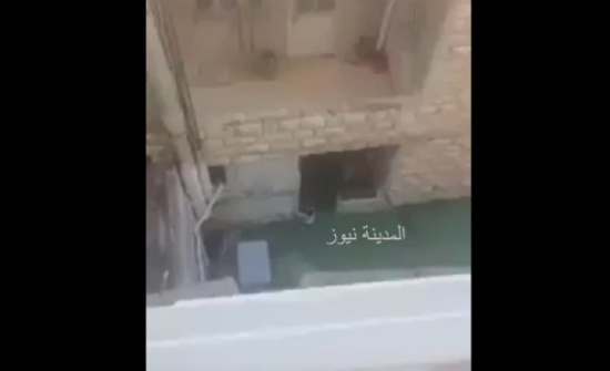 بالفيديو شاهد الطفلة التي اغضب بكاؤها الأردنيين كافة بالفيديو شاهد الطفلة التي اغضب بكاؤها الأردنيين كافة