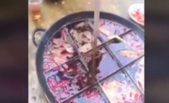 زبائن يعثرون على فأر ميت داخل وجبة طعام ساخنة (فيديو) زبائن يعثرون على فأر ميت داخل وجبة طعام ساخنة (فيديو)