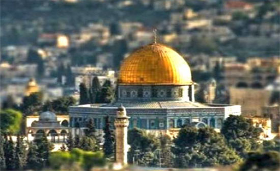 مفتي القدس: أي اقتحام للأقصى تحت أي مسمى مرفوض تماما مفتي القدس: أي اقتحام للأقصى تحت أي مسمى مرفوض تماما