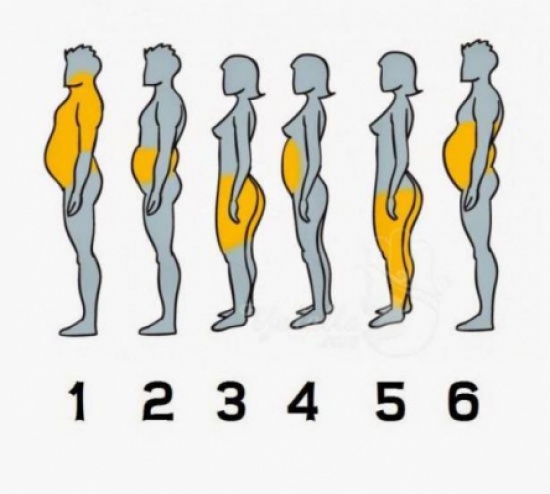 أي جزء من جسمكم أكثر سمنة ؟ أي جزء من جسمكم أكثر سمنة ؟