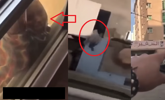 في فيديو جديد.. شاهد من أي مدى سقطت الخادمة الإثيوبية! في فيديو جديد.. شاهد من أي مدى سقطت الخادمة الإثيوبية!