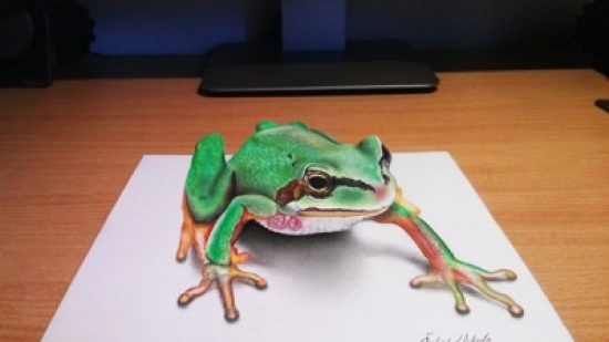 ���� ���� ������ �� ���� ������