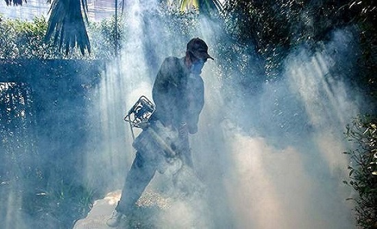 الكشف عن حشرة منزلية "مستحيل قتلها" (فيديو) الكشف عن حشرة منزلية "مستحيل قتلها" (فيديو)