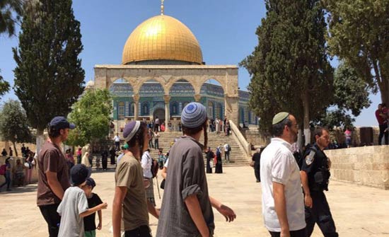 مستوطنون متطرفون يهاجمون مركبات الفلسطينيين جنوب جنين مستوطنون متطرفون يهاجمون مركبات الفلسطينيين جنوب جنين