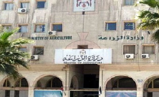 اجتماع اللجنة الزراعية الأردنية السودانية اجتماع اللجنة الزراعية الأردنية السودانية