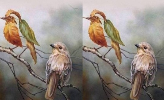 لهذه الصورة مدلولان ستكشف مصير حياتك العاطفية! لهذه الصورة مدلولان ستكشف مصير حياتك العاطفية!