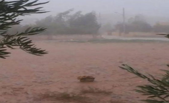 الحكومة : استمرار البحث عن آخر طفلة مفقودة بالهيدان الحكومة : استمرار البحث عن آخر طفلة مفقودة بالهيدان