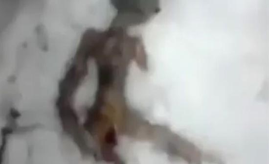 صائد كوني يعثر على جثة فضائي مدفونه في الثلوج .. ( صور ) صائد كوني يعثر على جثة فضائي مدفونه في الثلوج .. ( صور )