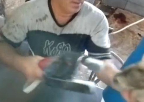 ÙØªÙØ¬Ø© Ø¨Ø­Ø« Ø§ÙØµÙØ± Ø¹Ù ØµØ¹Ù Ø¨Ø§ÙÙÙØ±Ø¨Ø§Ø¡