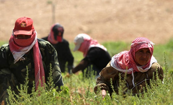 94 ألف تصرح عمل للاجئين السوريين منذ 2016 94 ألف تصرح عمل للاجئين السوريين منذ 2016
