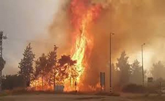 حرائق جهنمية تلتهم غابات ثاني أكبر جزيرة في اليونان حرائق جهنمية تلتهم غابات ثاني أكبر جزيرة في اليونان