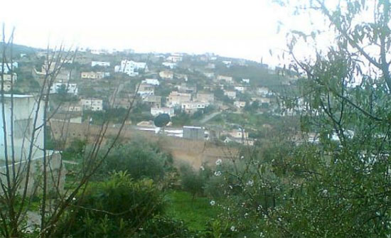 قصة اميركي أحب الاردن و الاردنيين قصة اميركي أحب الاردن و الاردنيين