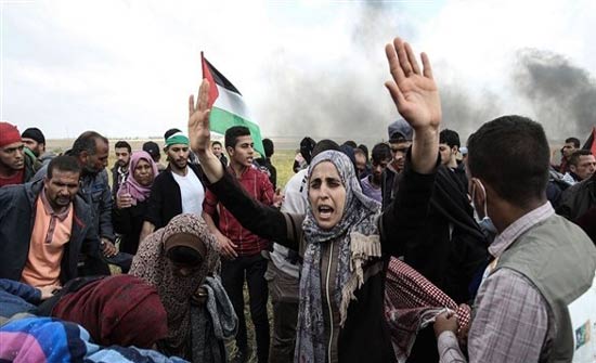 كندا تدعو لتحقيق فوري ومستقل حول أحداث غزة كندا تدعو لتحقيق فوري ومستقل حول أحداث غزة