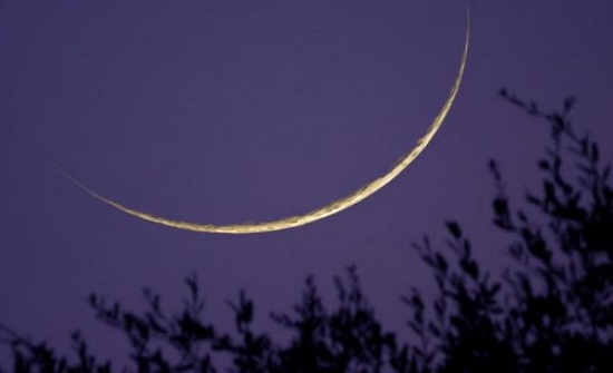 19 دولة تحتفل "الاثنين" بأول أيام العيد 19 دولة تحتفل "الاثنين" بأول أيام العيد
