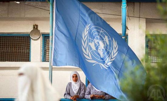 عشرات الفلسطينيين يطالبون بدعم "أونروا" عشرات الفلسطينيين يطالبون بدعم "أونروا"