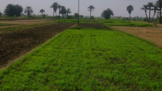 لا اشتراط لتسجيل عقود الإيجار لدى دائـرة الأراضي لا اشتراط لتسجيل عقود الإيجار لدى دائـرة الأراضي