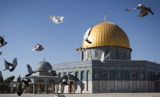 وزير الزراعة في حكومة الاحتلال الإسرائيلي يقود اقتحاماً للمسجد الأقصى وزير الزراعة في حكومة الاحتلال الإسرائيلي يقود اقتحاماً للمسجد الأقصى