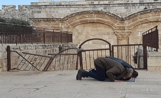 مصدر مسؤول : باب الرحمة جزءٌ لا يتجزأ من الأقصى مصدر مسؤول : باب الرحمة جزءٌ لا يتجزأ من الأقصى