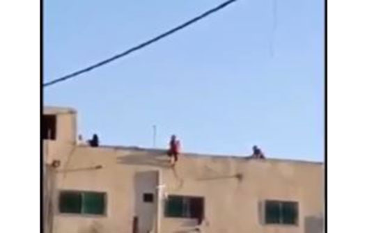 بالفيديو : محاولة انتحار فتاة في اربد بالفيديو : محاولة انتحار فتاة في اربد