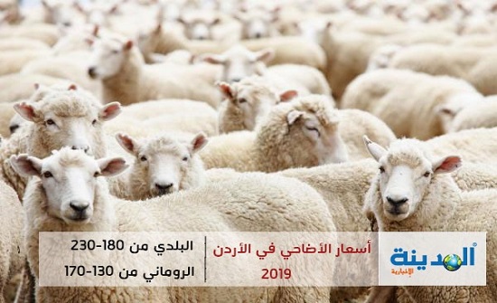 تعرف على اسعار الاضاحي لهذا العام في الاردن للبلدي والمستورد ( تفاصيل ) تعرف على اسعار الاضاحي لهذا العام في الاردن للبلدي والمستورد ( تفاصيل )