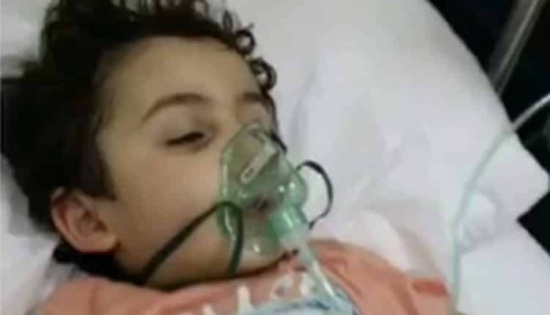 بالفيديو: “غوتشر”.. يقلب حياة أسرة أردنية تعيش في السعودية رأسًا على عقب بالفيديو: “غوتشر”.. يقلب حياة أسرة أردنية تعيش في السعودية رأسًا على عقب