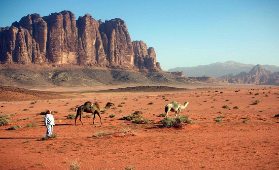 وفاة وإصابة اخر جراء تعرضهما للتيه في صحراء رويشد وفاة وإصابة اخر جراء تعرضهما للتيه في صحراء رويشد