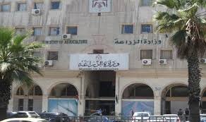 اشادة دولية باجراءات وزارة الزراعة للسيطرة على الحمى القلاعية اشادة دولية باجراءات وزارة الزراعة للسيطرة على الحمى القلاعية