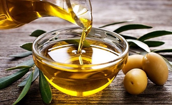 49 الف طن انتاجية زيت الزيتون في عجلون 49 الف طن انتاجية زيت الزيتون في عجلون