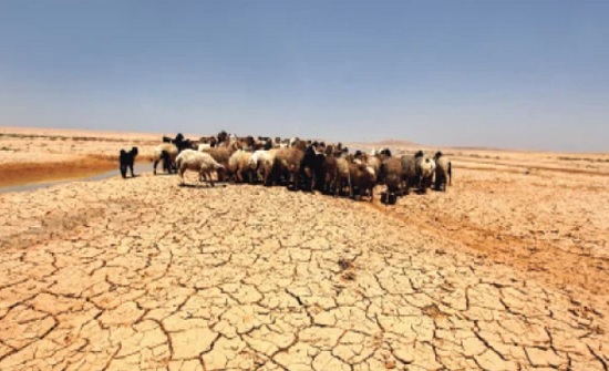 نظام خاص لتغير المناخ يوجب تشكيل لجنة وطنية لمتابعة تنفيذ سياساته نظام خاص لتغير المناخ يوجب تشكيل لجنة وطنية لمتابعة تنفيذ سياساته