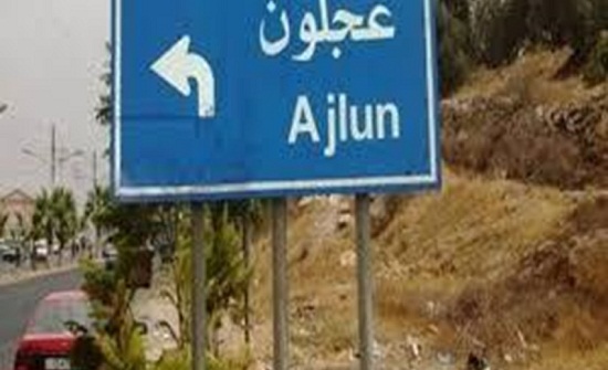 اختتام معسكر سواعد الانقاذ للإناث في عجلون اختتام معسكر سواعد الانقاذ للإناث في عجلون