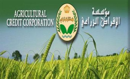 تخصيص مليونين و150 الف دينار قروضا زراعية في قصبة المفرق تخصيص مليونين و150 الف دينار قروضا زراعية في قصبة المفرق