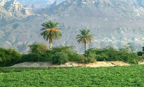 بلدية الشونة الجنوبية تطالب باستبدال العبارات الانبوبية بصندوقية بلدية الشونة الجنوبية تطالب باستبدال العبارات الانبوبية بصندوقية