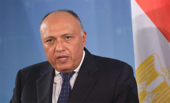 مصر تعتبر الدور التركي في ليبيا "مقلقاً" مصر تعتبر الدور التركي في ليبيا "مقلقاً"