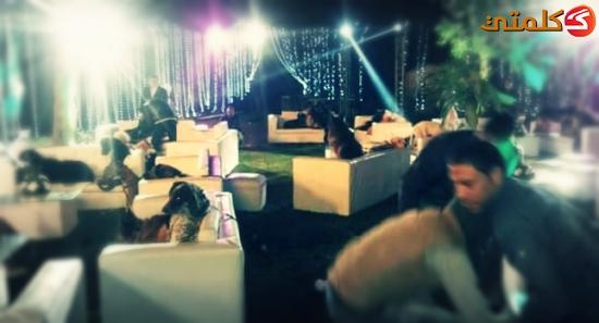 "ولا أي إندهاشة".. فرح مصري والمعازيم «كلاب»: «ممنوع التصوير» "شاهد" "ولا أي إندهاشة".. فرح مصري والمعازيم «كلاب»: «ممنوع التصوير» "شاهد"