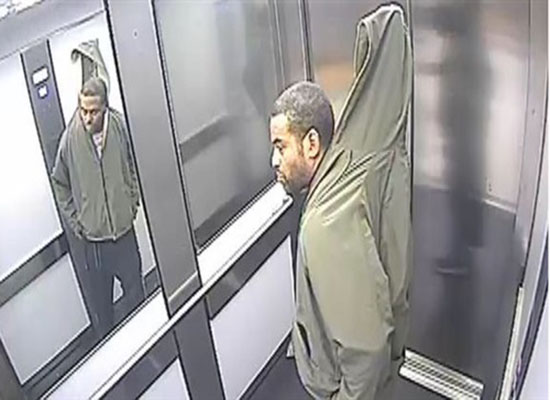 بالصور: لقطات طريفة لـ" لص" يخفي ستائر معدنية طولها مترين بالصور: لقطات طريفة لـ" لص" يخفي ستائر معدنية طولها مترين