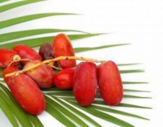 رجيم البلح.. نتائجٌ سريعة ورائعة! رجيم البلح.. نتائجٌ سريعة ورائعة!