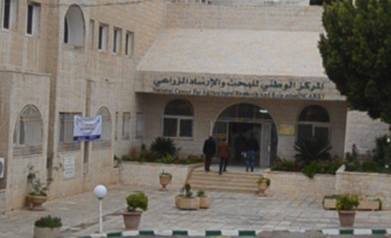 الارشاد الزراعي يطلق حملة "نزرع شجرة نطعم أسرة" الارشاد الزراعي يطلق حملة "نزرع شجرة نطعم أسرة"