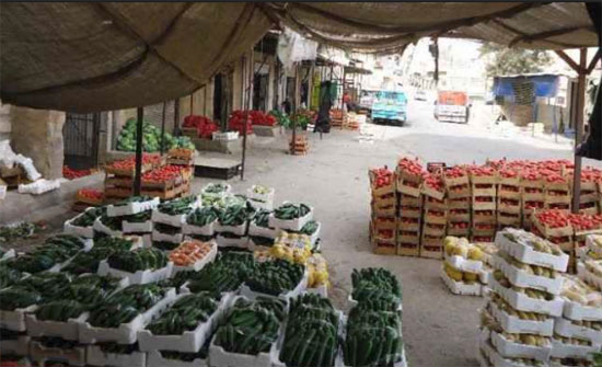 460 طنا من الخضار واردات سوق العارضة 460 طنا من الخضار واردات سوق العارضة