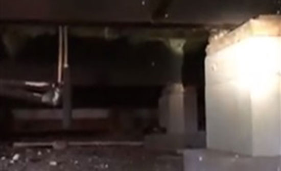مليون مشاهدة لرجل يعثر على 45 أفعى جرسية تحت منزله (فيديو) مليون مشاهدة لرجل يعثر على 45 أفعى جرسية تحت منزله (فيديو)