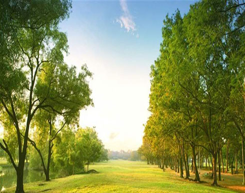 المساحات الخضراء تخفف التوتّر