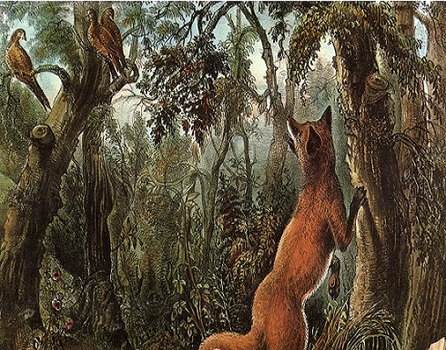 اختبر قوة بصرك وصبرك.. كم وجها ترى في هذه الصورة؟