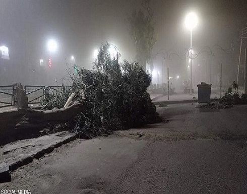 دير الزور.. "الوحش الأصفر" يقتل 10 أشخاص دير الزور.. "الوحش الأصفر" يقتل 10 أشخاص