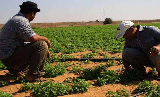 الاردن: مليونا دينار قروض بدون فوائد للمزارعين