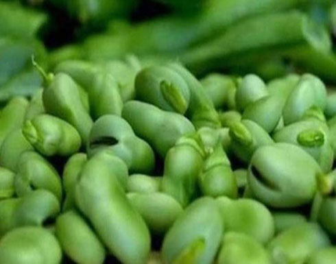 4 وجبات خفيفة تساعد على خسارة الوزن 4 وجبات خفيفة تساعد على خسارة الوزن