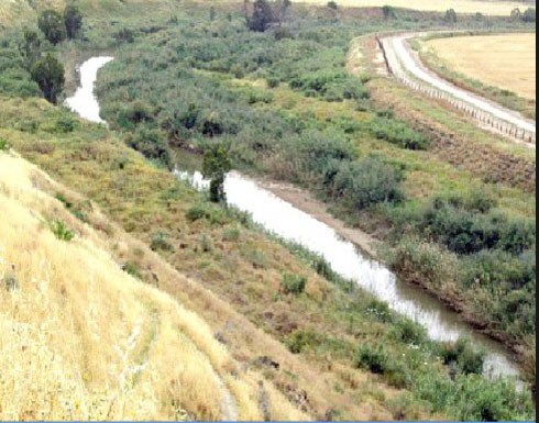 مركز أبحاث الأمن الاسرائيلي يوصي بطلب تعويضات من الاردن لمزارعي الباقورة والغمر مركز أبحاث الأمن الاسرائيلي يوصي بطلب تعويضات من الاردن لمزارعي الباقورة والغمر