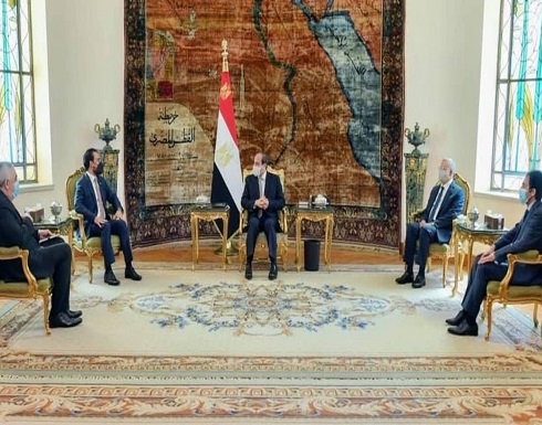 السيسي: مصر ترفض التدخلات الخارجية في شؤون العراق السيسي: مصر ترفض التدخلات الخارجية في شؤون العراق