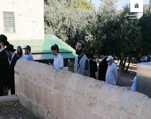 مستوطنون يقتحمون "الأقصى".. واعتقالات بالقدس والضفة مستوطنون يقتحمون "الأقصى".. واعتقالات بالقدس والضفة